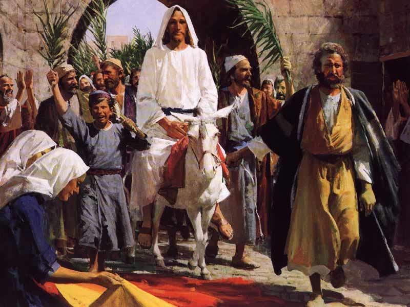 Jesus Enters Jerusalem PALM SUNDAY Matthew 21:1-11 Mark 11:1-11 Luke 19:28-40 John 12:12-19 Jesus humbly entering Jerusalem riding a donkey (or colt) is mentioned in all 4 Gospels.