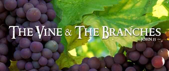 THE VINE & THE BRANCHES (John 15:1-17) I am the true vine, and my Father is the vine grower.