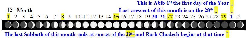 Page 45 of 46 After the turn of the year (or after the equinox) we look for the next conjunction to begin the first day of the year as shown in the 12 th month next diagram.