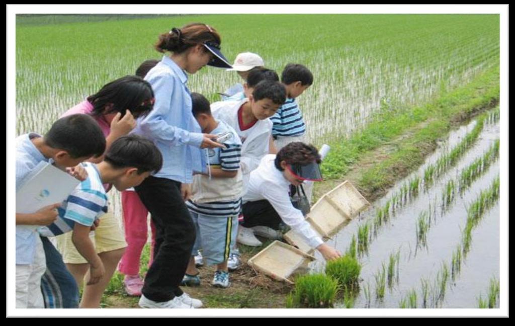 139 326 acres in all. Now this area is famous as an organic farm in Korea. 193 Picture 4: Children participating in eco-friendly farming experience of Songak Church.