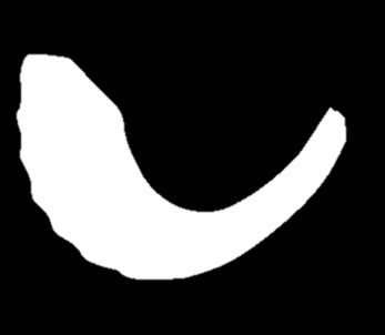 The Branch of the Breath Here they are: (shofar/worship component).