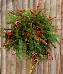 Go into the Main Hall and seat your students in front of the Christmas tree. Main Hall Christmas tree Decorations Kissing Ball Do you put up a Christmas tree and decorations at your house?
