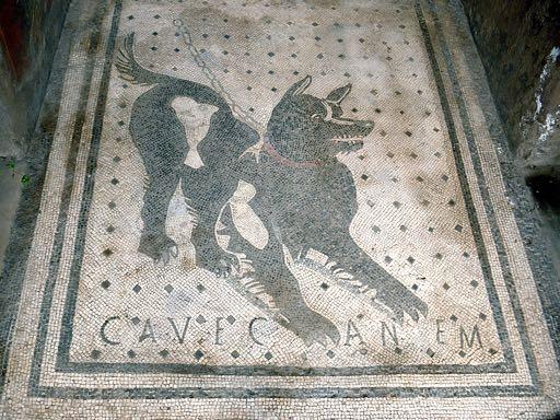 Pompeii Dog