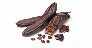 The carob also symbolizes the resilience of the Jewish people through the countless tragedies they have experienced, and the secret of their immortality.