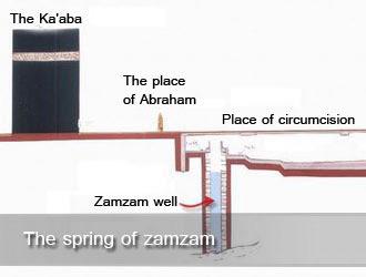 After we have mentioned the prophetic texts related to Zamzam water, what does science and scientific researches say about it.