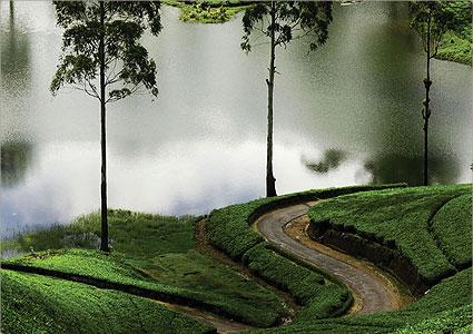 scenery, is Sri Lankas most popular hill Resort.