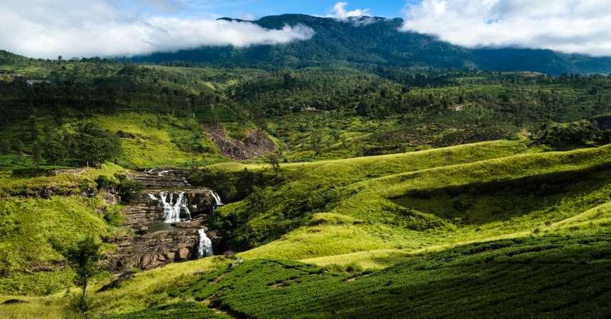 NUWARA ELIYA Day 8, Day 9 Hotel Suggested: Budget: HILL PRIDE CITY HOTEL Mid-Range: ARALIYA GREEN HILLS (Breakfast, Dinner) After Breakfast, you will leave for Sri Lanka s Hill Country - the land of