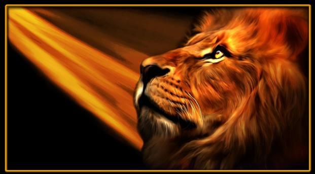 Father, in Jesus name, we call forth the roar of the Lion of Judah into our lives, families, cities, and society once again. We desire prophetic intercessory encounters in each of our lives.