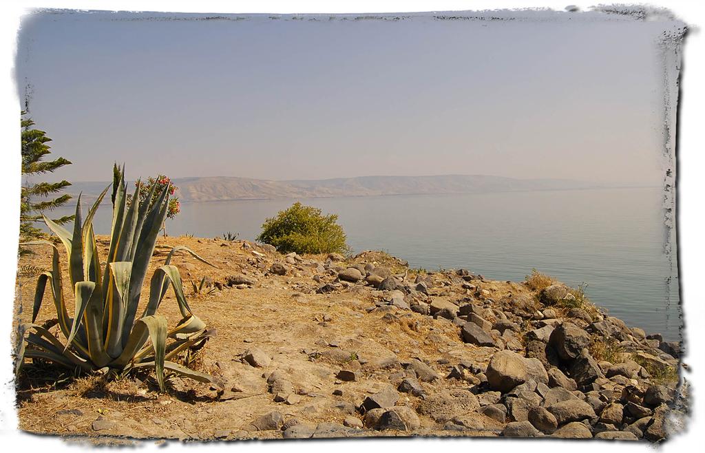 Workbook On The Epistle Of James The Sea of Galilee from the shores of Capernaum, looking towards the Decapolis James, a bondservant of God and of the Lord Jesus Christ, To the twelve tribes which