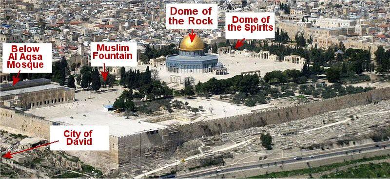 CHAPTER ONE Introduction The location of the Temple platform, where both Solomon and Herod's Temples once stood, has remained a mystery for almost two thousand years.