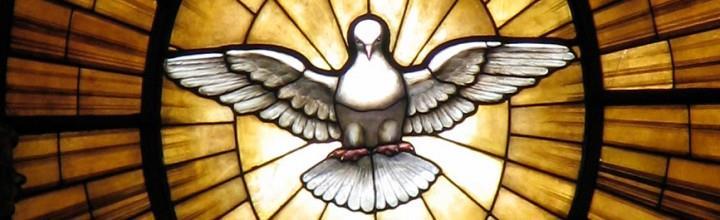 E&O P2 RERC 1-10a I have examined the role of the Holy Spirit in my life and in the lives of others.