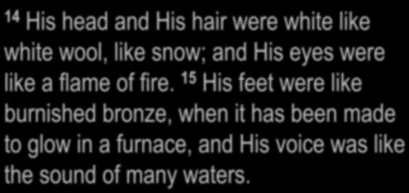 Revelation 1:14-15 14 His head and His hair were white like white wool, like snow; and His eyes were like a flame of fire.