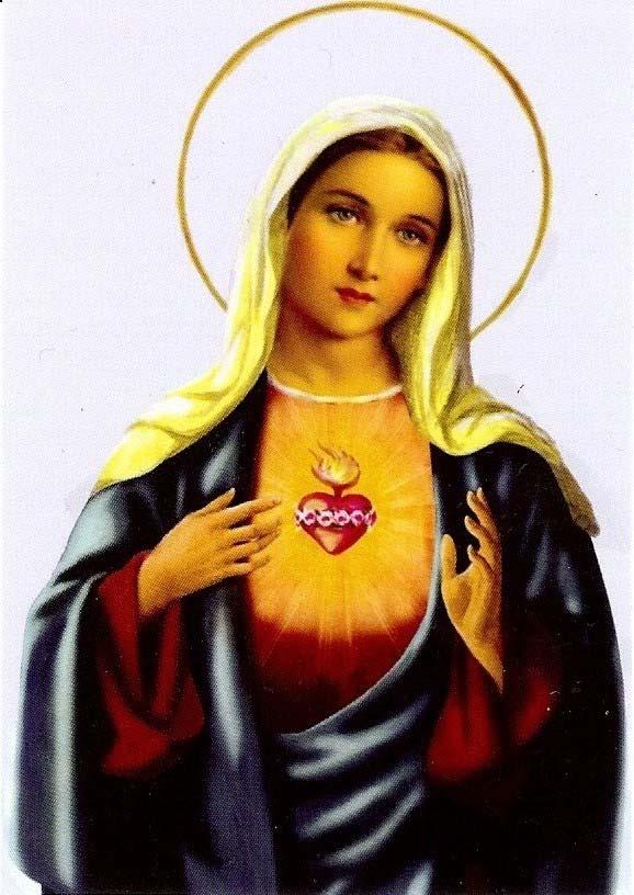Children here on Earth all who LIVE Her Messages given at Fatima, Garabandal, Akita, and Medjugorje Her Prayer Warriors who will form Her Heal that will crush the