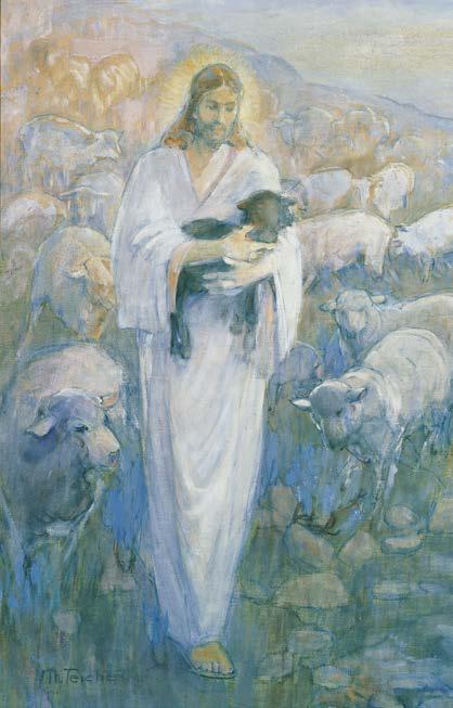 Each of us should read and reread the parable of the lost sheep.