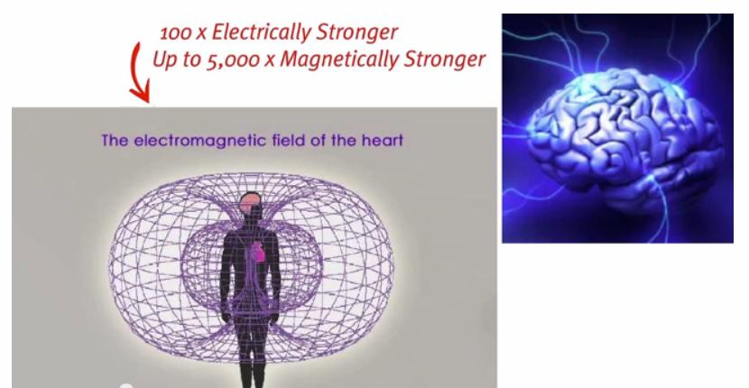 The Heart is 100 times electrically stronger and up