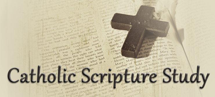 Adult Scripture Study ~ Have you ever wanted to study Scripture? Now s your chance. An Adult Scripture Study entitled, Introduction To The Bible, will be offered beginning Tuesday, August 9.