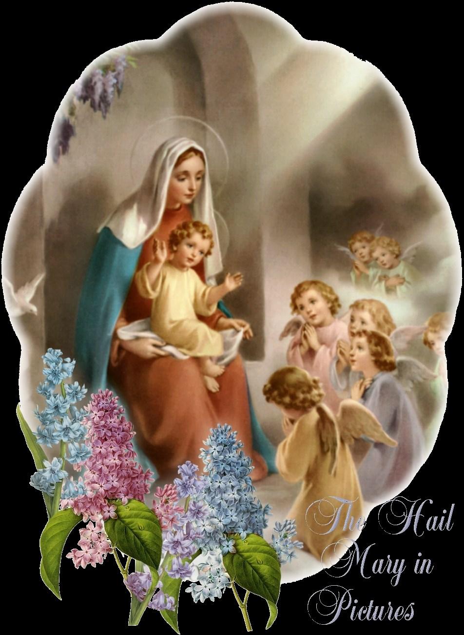 Hail Mary Full of grace. the Lord is with Thee.