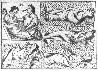 descendants weren t exposed to the diseases that had plagued Europe over the centuries.