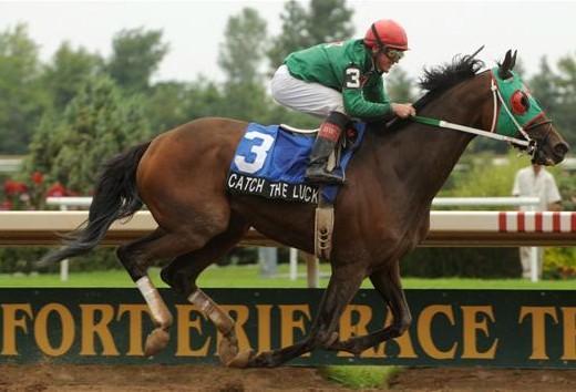 Recreation Fort Erie Race Track offers Thoroughbred Horse Racing, the oldest track (and most beautiful) in North America, home to the