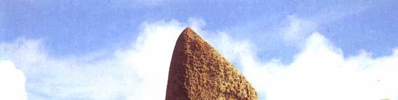 The largest stone still standing at