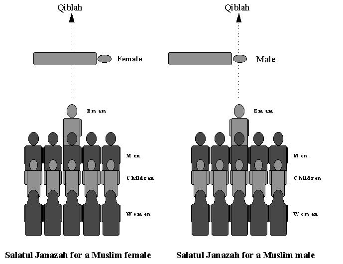 Figure (4) Figure (5) The Imam should stand by the middle of a female body, and by the head for a male body, this is due to the Hadith in which Anas related that Prophet Muhammad (P.B.U.