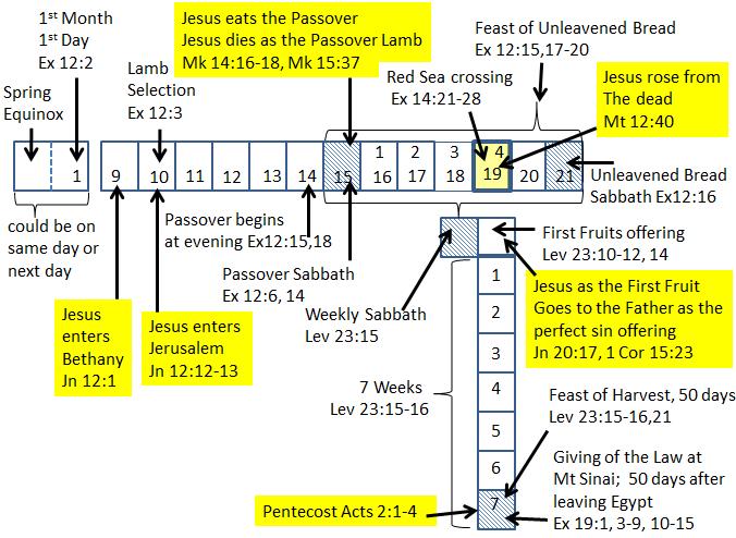 A more detailed description was given in last years bible study "May 1, 2011 Passover from Egypt to Pentecost".
