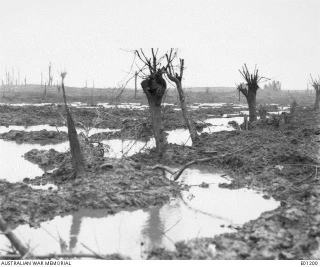 Appendix D The swamps of Zonnebeke on October 12 th, the first day of the battle of Passchendaele.
