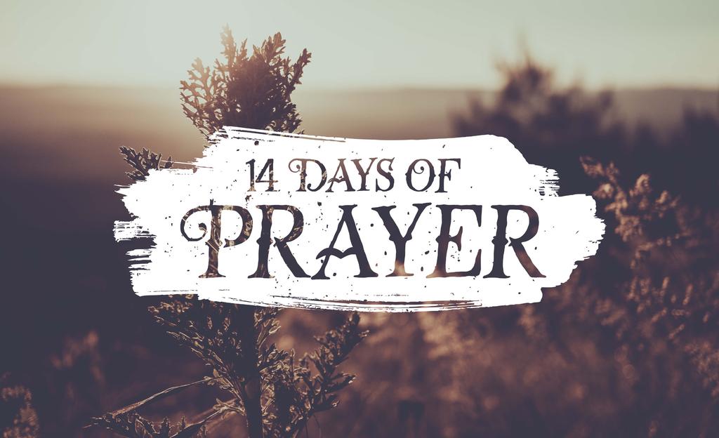 Prayer is both a way to connect with God and a catalyst for his work. God genuinely responds to the petitions of his people. He cares about the desires of our hearts.