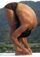 viii. Dhanurasana or Bow This asana is balanced on the abdomen in the shape of a bow and