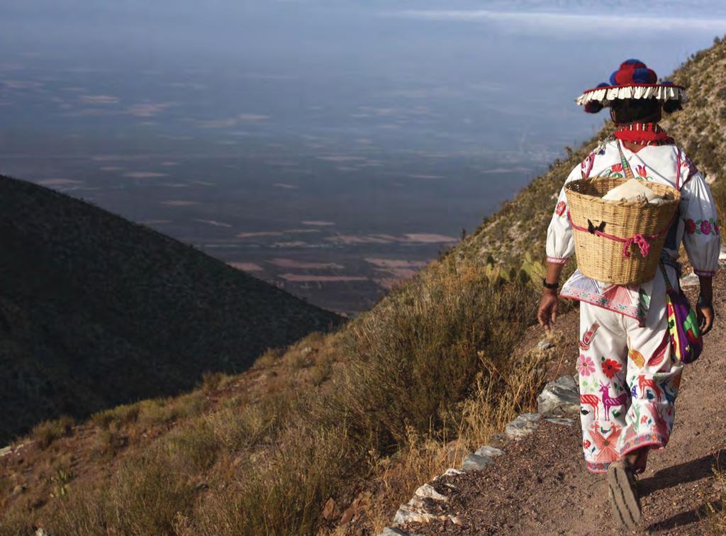 Below: Huichol pilgrims in the hills of Wirrikuta Inset: traditional yarn painting made by pressing coloured yarns into wax.