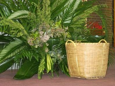outreach programs Taking care of your parish home When the basket with the offertory collection is placed at the foot of the altar during
