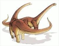 What makes dinosaurs different? Dinosaurs were land-dwelling reptiles that walked with an erect stance.