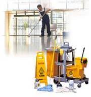 bulbs; setting up classrooms, banquet hall, and other areas for events; cleaning and disinfecting drinking fountains.
