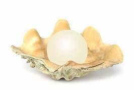 Jesus said, The Kingdom of heaven is like a merchant seeking fine pearls, who, when he had found one pearl of great price, went and sold all that he had and bought it (Matthew 13:44,45).