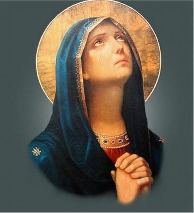 as we go forward in joyful hope toward the grace-filled freedom that Augustine recommends. O Virgin Mother of Good Counsel, hear our prayer as we look to you for guidance.