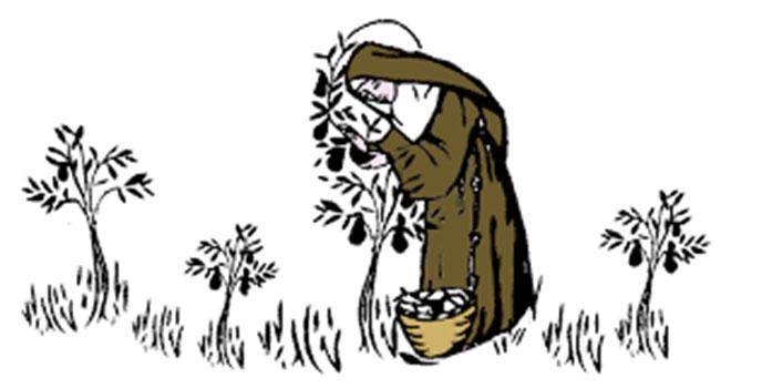 Clare of Assisi You are welcome to bring your prayer petitions with you or mail to: The Poor Clare Monastery 300 North 60th Street Belleville, IL 62223-3927 Holy Mass on the Solemnity of St.