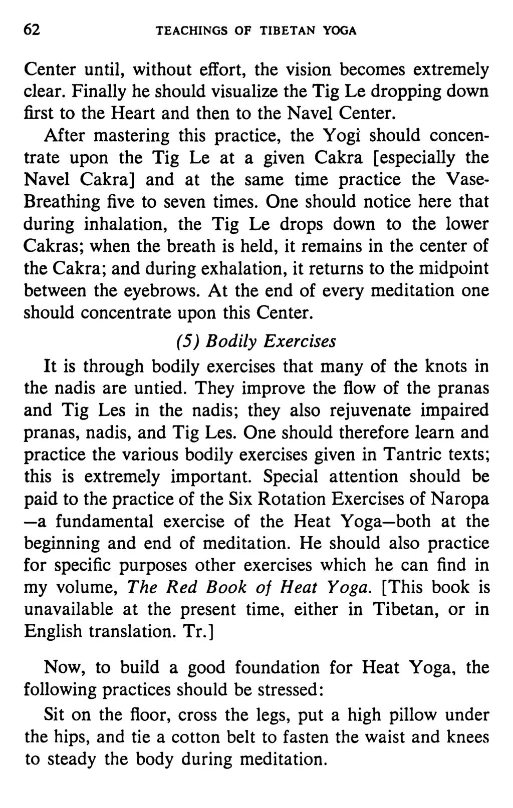 62 TEACHINGS OF TIBETAN YOGA Center until, without effort, the vision becomes extremely clear. Finally he should visualize the Tig Le dropping down first to the Heart and then to the Navel Center.
