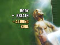 and breathed into his nostrils the breath of life; and man became a living being. Genesis 2:7.