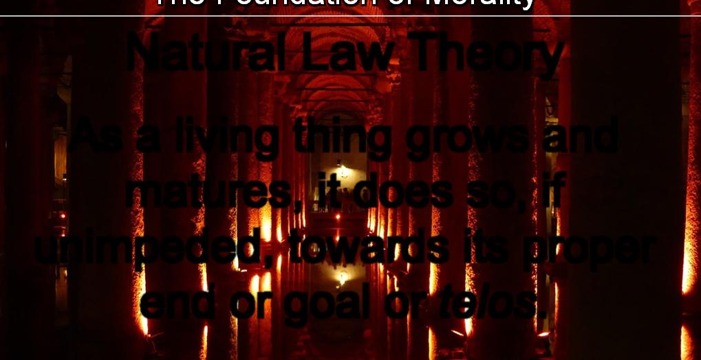 The Foundation of Morality Natural Law Theory As a living thing