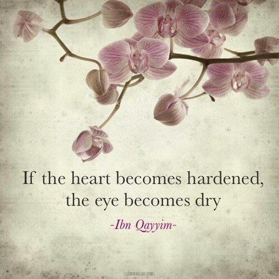 Then your hearts became hardened after that, being like stones or even harder.