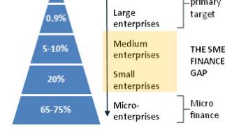 Global Microfinance Drivers 2. Addressing needs of MICRO-ENTERPRISES: Micro-enterprises have historically lacked access to financial products and services.