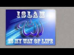 Islam means submission to Allah and a Muslim is one submitted to Allah.