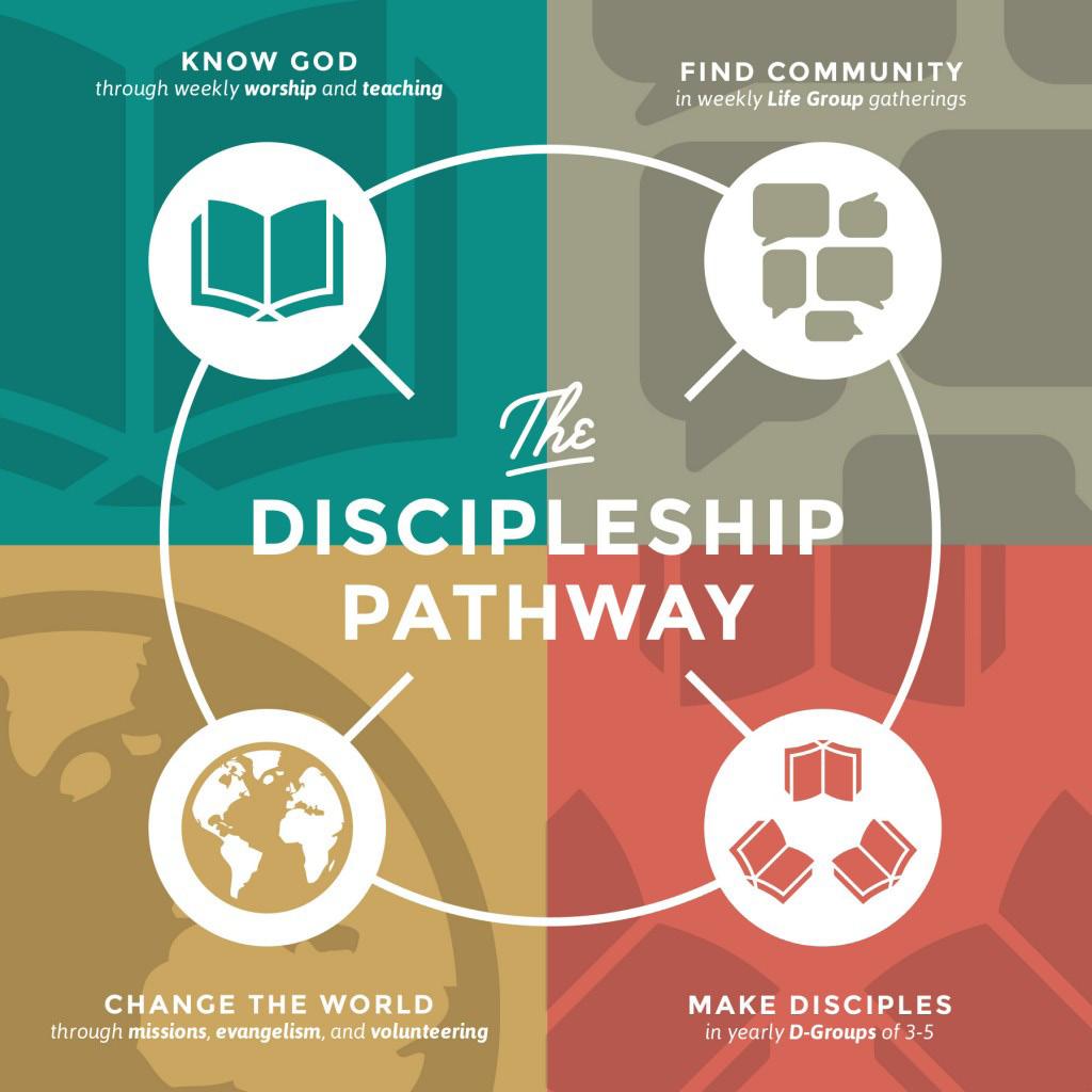 Notes Disciple-Making Process Our Church Plan Our vision and goal is to create a church culture that makes disciples through the process of reproduction, passing down that process to future