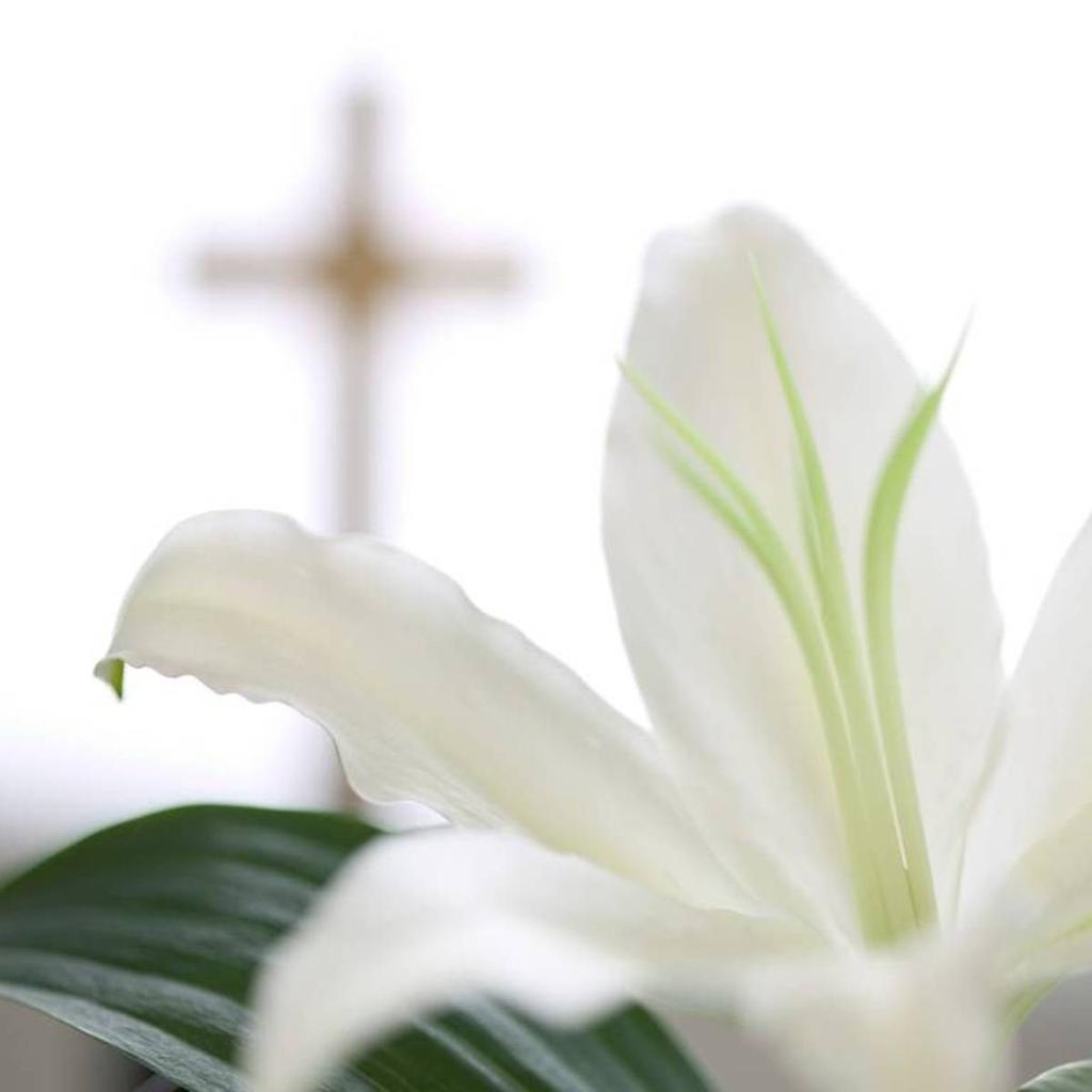 Lenten & Easter Schedule Holy Week begins today!
