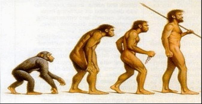 Evolution works through a process called natural selection.