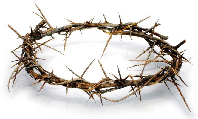 1 So then Pilate took Jesus and scourged Him. 2 And the soldiers twisted a crown of thorns and put it on His head, and they put on Him a purple robe. 3 Then they said, Hail, King of the Jews!