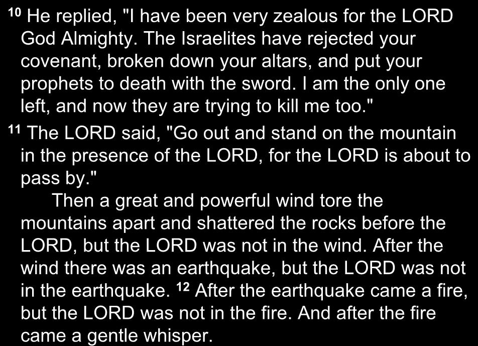 10 He replied, "I have been very zealous for the LORD God Almighty. The Israelites have rejected your covenant, broken down your altars, and put your prophets to death with the sword.