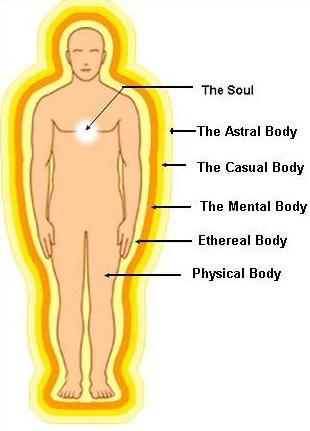 The Human Energy Body The human body consists of two primary systems. The first is the biological body, which consists of muscles, respiratory system, digestive system etc.
