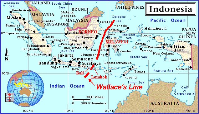 Wallace remained in the Dutch East Indies until 1862. 1. Published The Malay Archipelago in 1869. 2. References natural & sexual selection five times in over a thousand pages. 17 Figure 3.12.