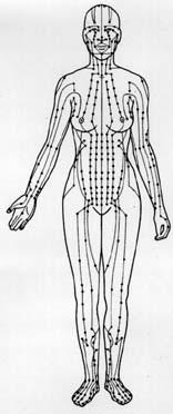 The Meridian System The meridian system is the anatomical aspect of the Spirit. The meridians distribute Ki and blood throughout the body and organs of the body.